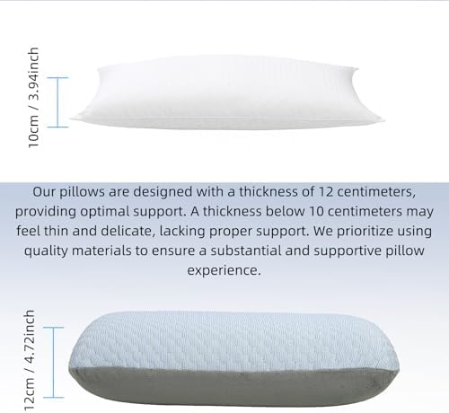 Memory Foam Travel Pillow for Backpackers Airplane and More