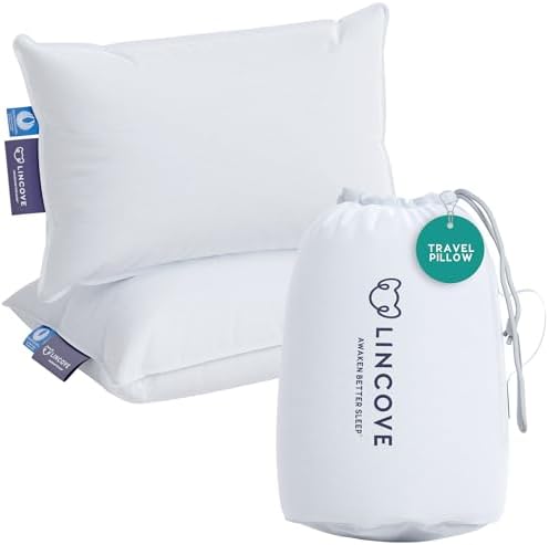Unforgettable Luxury Travel Pillow Best for Hiking Airport More