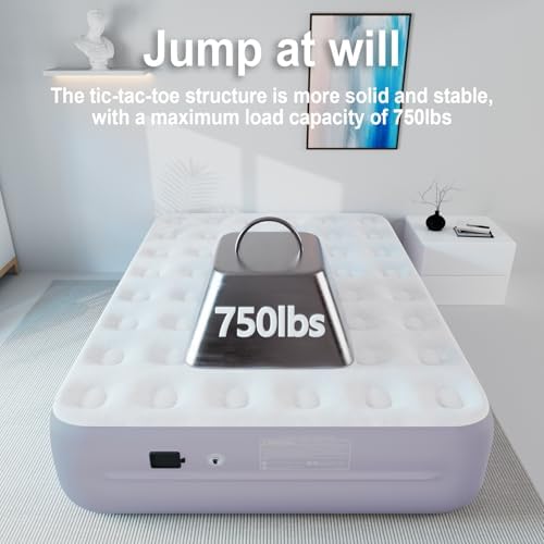 AirOutelleQueen Dutch Velvet Air Mattress Rechargeable USB Pump 18 Storage Bag included
